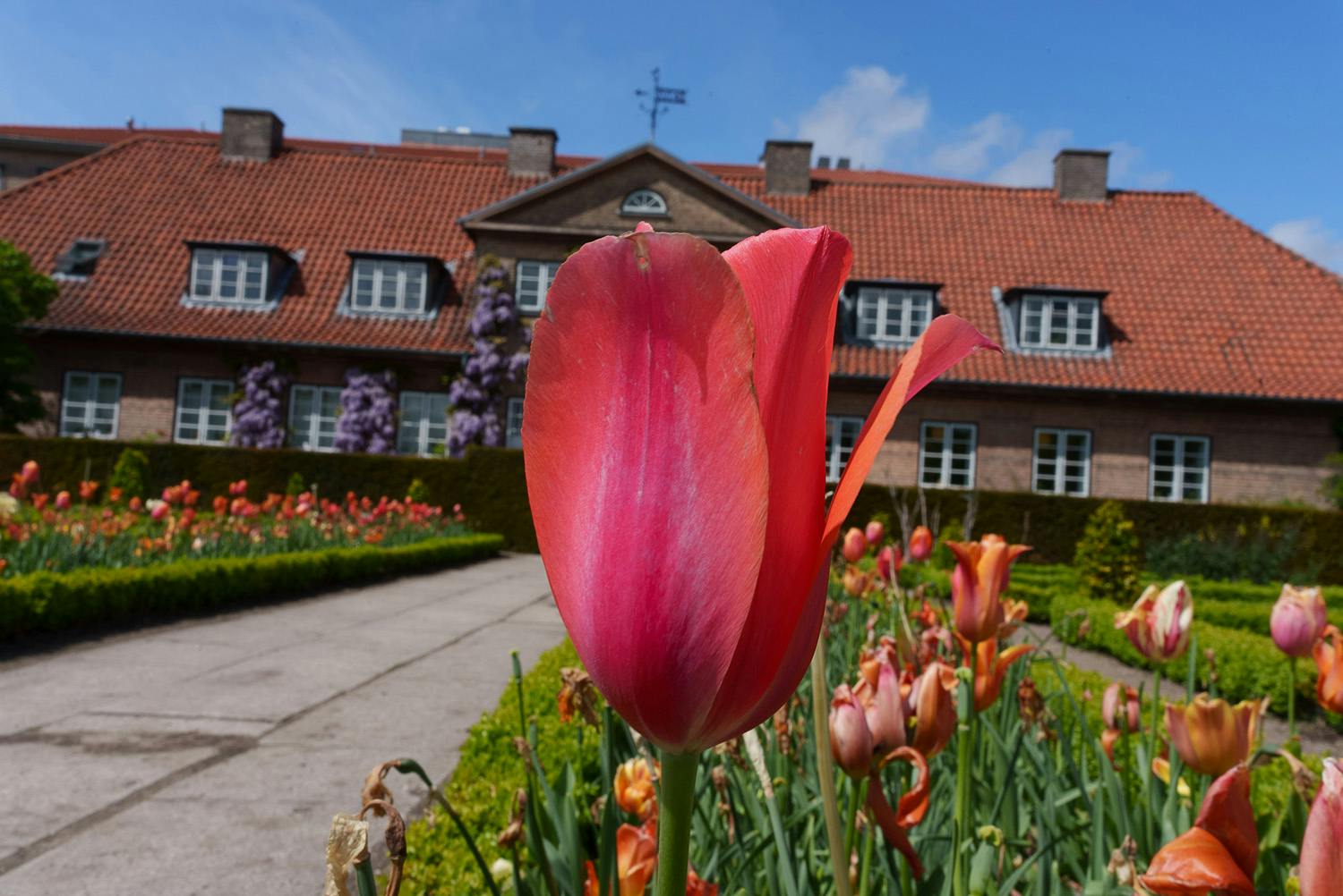 dsr03934 lr Bilde tatt på F22